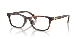 6137 Shiny Brown Tortoise