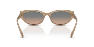 Coach Sunglasses HC8456D