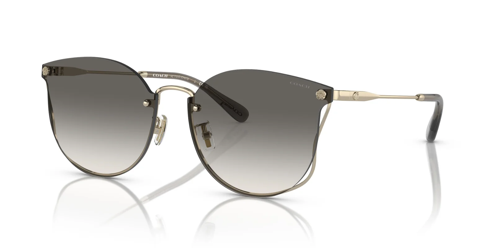 Coach Sunglasses HC7151D