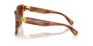 Swarovski Sunglasses SK6044U