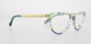 D&G Eyeglasses DD1213