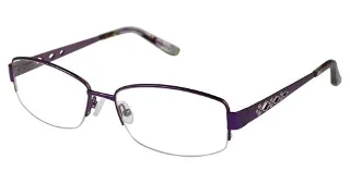 C03 Purple Tortoise