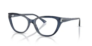 Jimmy Choo Eyeglasses JC3011