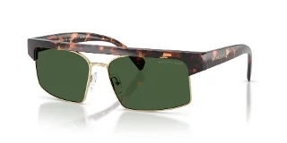 300671 Dark Tortoise