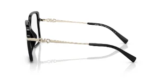 Michael Kors Eyeglasses MK4095U