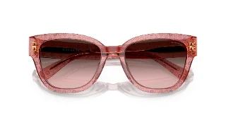 Coach Sunglasses HC8379U