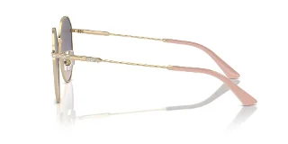 Jimmy Choo Sunglasses JC4007BD