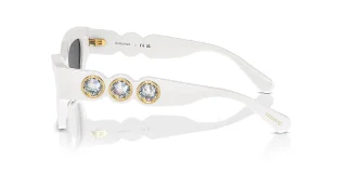 Swarovski Sunglasses SK6021F