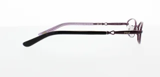 Polo Eyeglasses PP8015