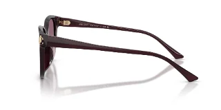 Jimmy Choo Sunglasses JC5057D