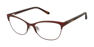 BRN Brown