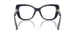 Swarovski Eyeglasses SK2066U