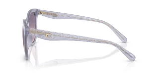 Coach Sunglasses HC8419U