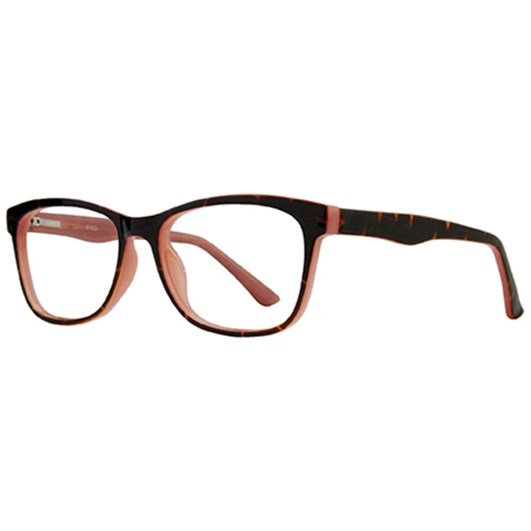 Stylewise Eyeglasses SW450