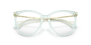 Jimmy Choo Eyeglasses JC3060