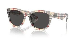 412287 Vintage Check