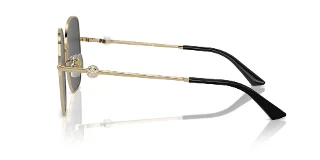 Jimmy Choo Sunglasses JC4008HD