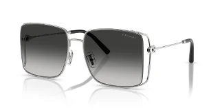 90013C Shiny Silver