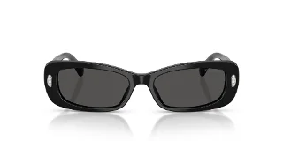 Swarovski Sunglasses SK6071U