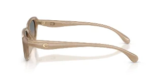 Coach Sunglasses HC8456D