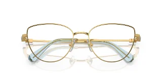 Swarovski Eyeglasses SK1007