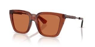 419573 Brown