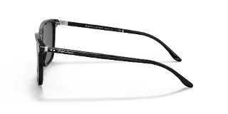 Ralph Lauren Sunglasses RL8199