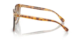 Coach Sunglasses HC8381U