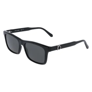 Salvatore Ferragamo Sunglasses SF2060SE