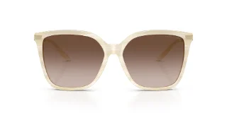 Ralph Lauren Sunglasses RL8209