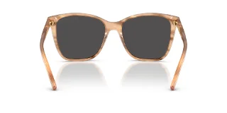 Ralph Lauren Sunglasses RL8201