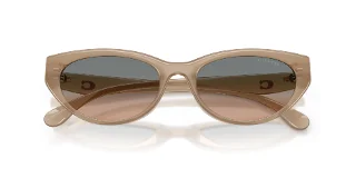 Coach Sunglasses HC8456D