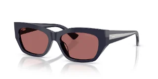 501669 Blue Navy