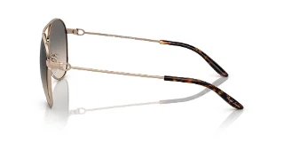 Ralph Lauren Sunglasses RL7077