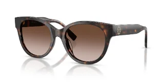 196413 Dark Tortoise