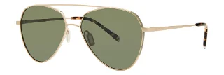 Paradigm Sunglasses 20-60