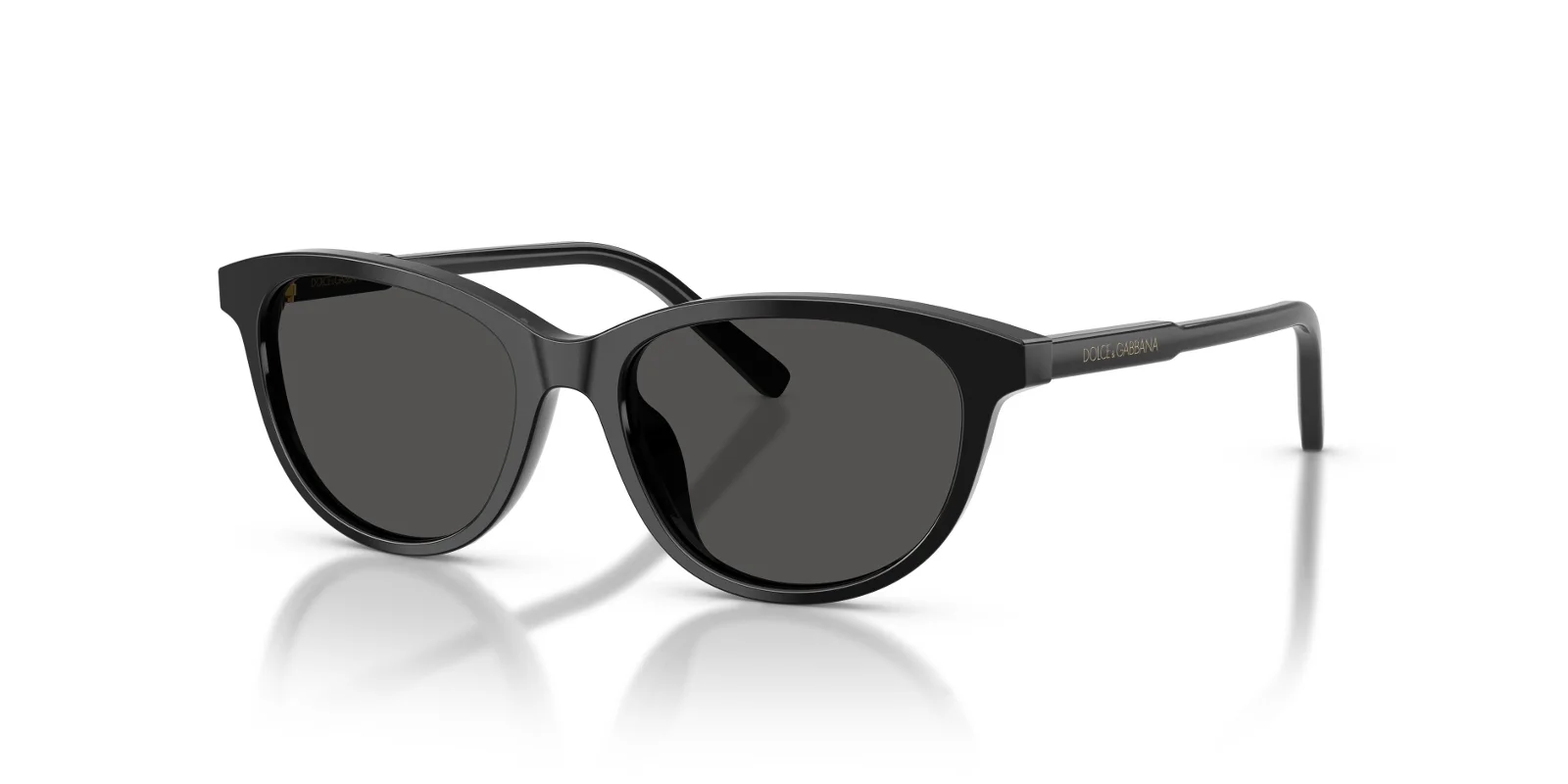 Dolce & Gabbana Sunglasses DX4010
