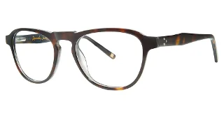 024 Tortoise