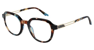 C0104 Tortoise