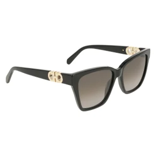 Salvatore Ferragamo Sunglasses SF2110S