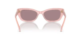 Swarovski Sunglasses SK6019F
