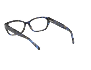 Abercrombie & Fitch Eyeglasses AF50029