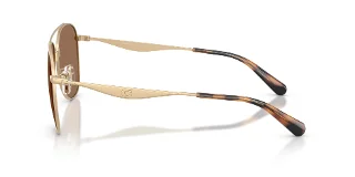 Coach Sunglasses HC7190
