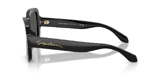 Giorgio Armani Sunglasses AR8268U