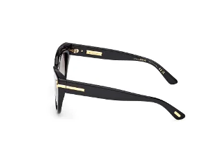 Tom Ford Icon Sunglasses FT1252