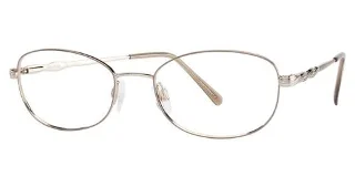 Aristar Eyeglasses AR 6898