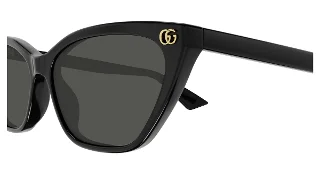 Gucci Sunglasses GG1815S