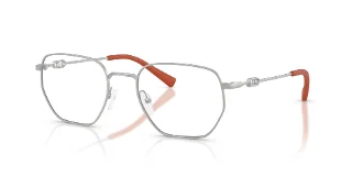 6020 Matte Silver