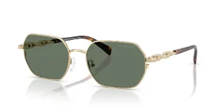10143H Light Gold Shiny