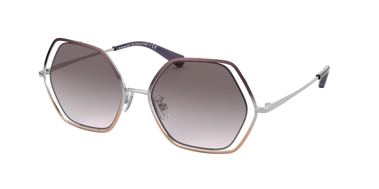 Coach Sunglasses HC7109